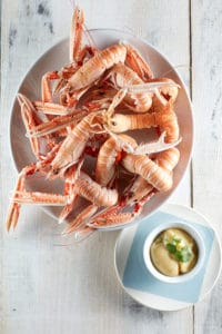 Plate of scampi